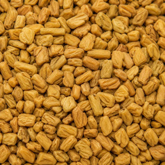 Fenugreek seeds — source of the Testofen® extract in Kane®