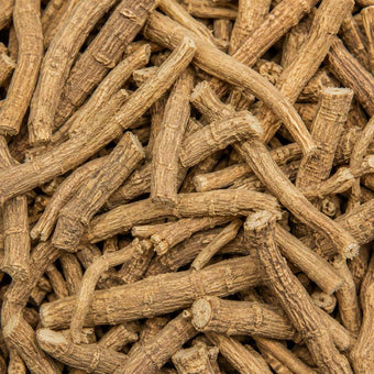 Ashwagandha root — source of the KSM-66® extract in Kane®