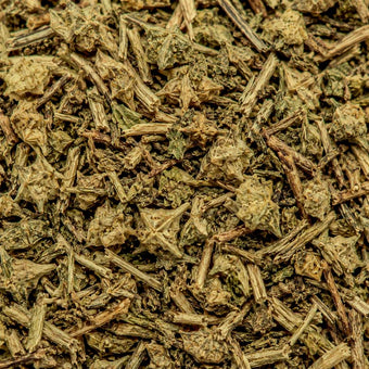 Tribulus terrestris fruit — 1,200 mg per serving in Kane®